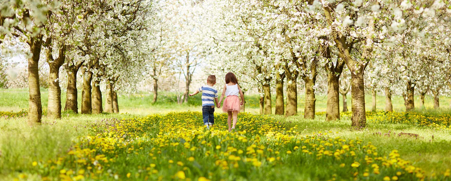 HVAC Cleaning Near Lake Forest